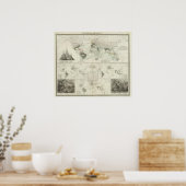 Reptilien, Ophidien Poster (Küche)