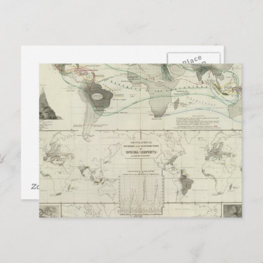 Reptilien, Ophidien Postkarte (Vorne/Hinten)