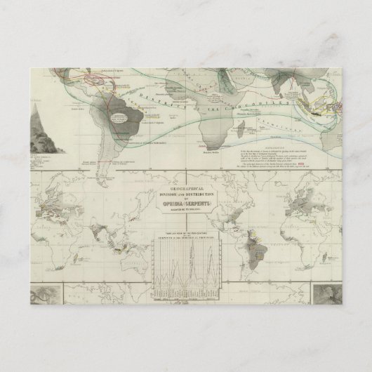 Reptilien, Ophidien Postkarte (Vorderseite)