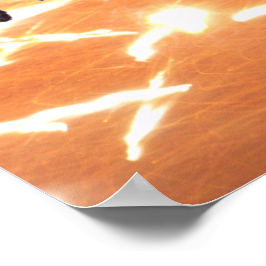 Reptilien Poster (Ecke)