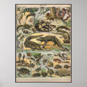 Reptilien Poster (Vorne)