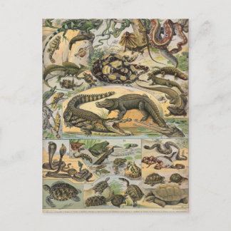 Reptilien Postkarte