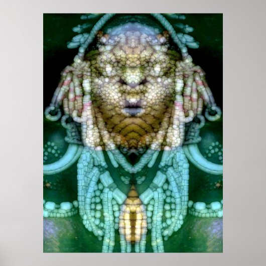 Reptilien-Schamane 1 Poster (Vorne)