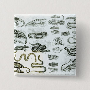 Reptilien, Schlangen und Eidechsen Button
