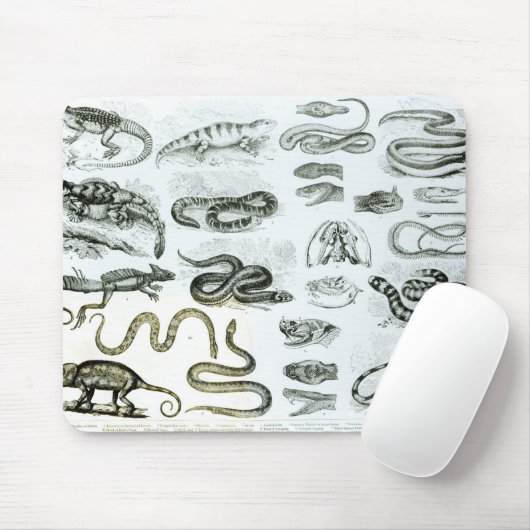 Reptilien, Schlangen und Eidechsen Mousepad (Mit Mouse)
