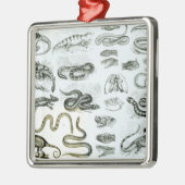 Reptilien, Schlangen und Eidechsen Ornament Aus Metall (Links)