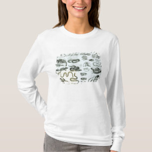Reptilien, Schlangen und Eidechsen T-Shirt