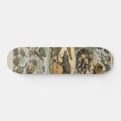 Reptilien Skateboard (Horizontal)