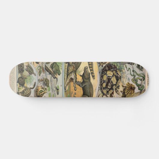 Reptilien Skateboard (Horizontal)