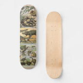 Reptilien Skateboard (Vorderseite)