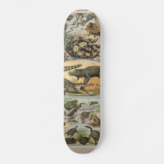 Reptilien Skateboard (Vorderseite)