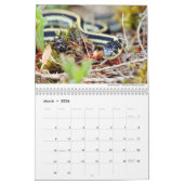 Reptilien und Amphibien 2021 von Chris Milligan Kalender (Mär 2026)