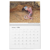 Reptilien und Amphibien 2021 von Chris Milligan Kalender (Jan 2026)
