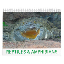 Reptilien und Amphibienkalender