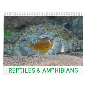 Reptilien und Amphibienkalender Kalender