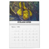 Reptilien und Amphibienkalender Kalender (Feb 2026)