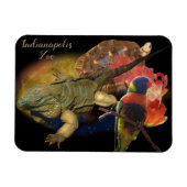 Reptilien und Vögel aus Indianapolis Zoo Magnet (Horizontal)