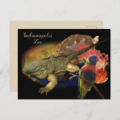 Reptilien und Vögel aus Indianapolis Zoo Postkarte (Vorne/Hinten)