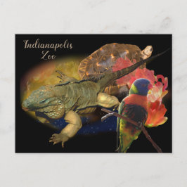 Reptilien und Vögel aus Indianapolis Zoo Postkarte