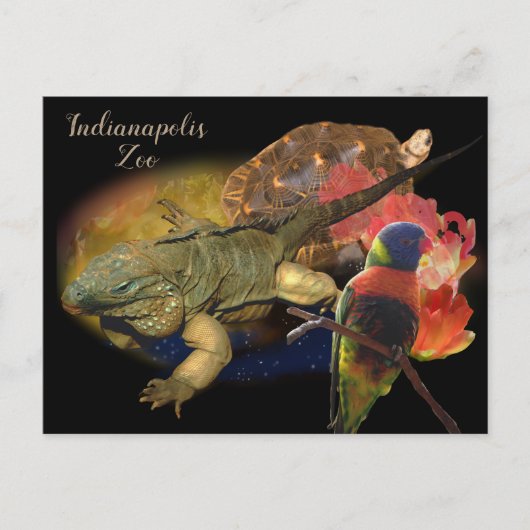 Reptilien und Vögel aus Indianapolis Zoo Postkarte (Vorderseite)
