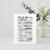 Reptilien von Oliver Goldsmith - Vintage Kunst Postkarte (Stehend Vorderseite)