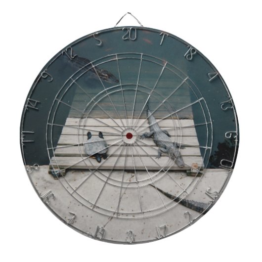 Reptiliengehäuse Dartscheibe (vorne)