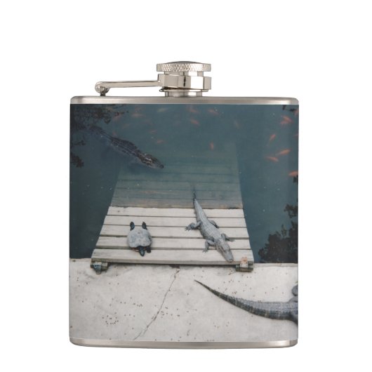 Reptiliengehäuse Flachmann (Vorderseite)