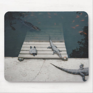 Reptiliengehäuse Mousepad