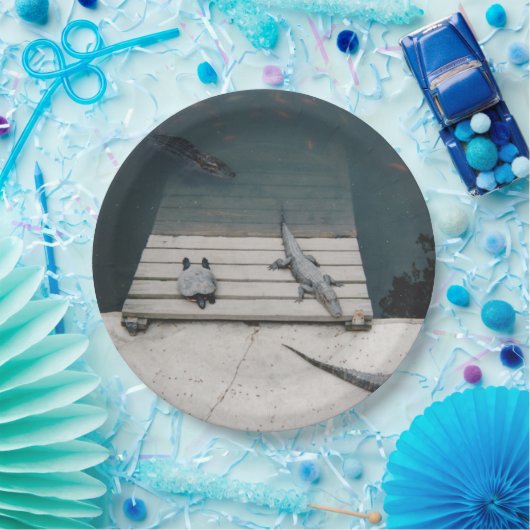 Reptiliengehäuse Pappteller (Party)