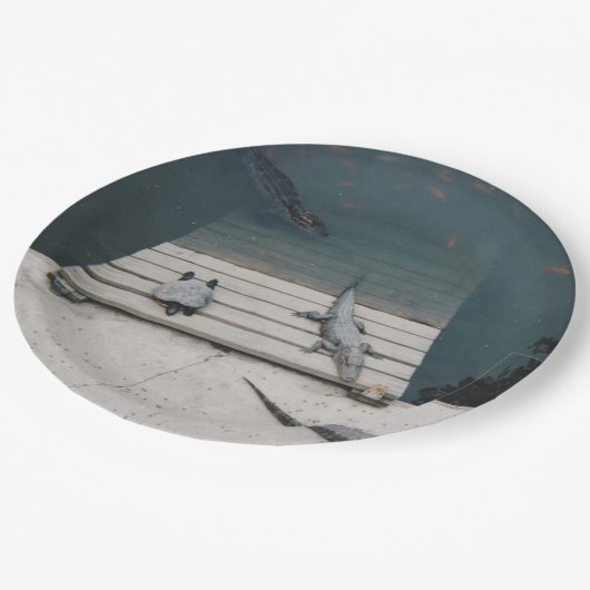 Reptiliengehäuse Pappteller (Schrägansicht)