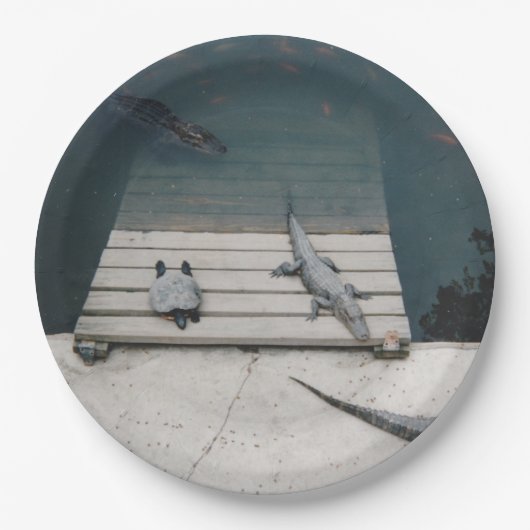 Reptiliengehäuse Pappteller (Vorderseite)