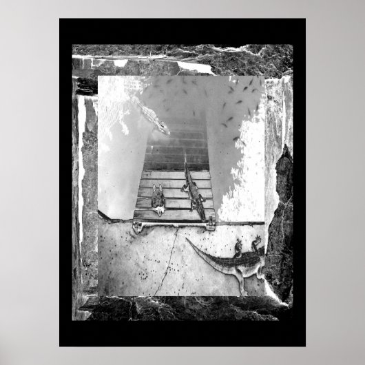 Reptiliengehäuse Poster (Vorne)