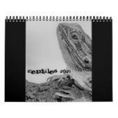 Reptilienkalender 2021 kalender (Titelbild)