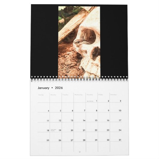 Reptilienkalender 2021 kalender (Jan 2026)
