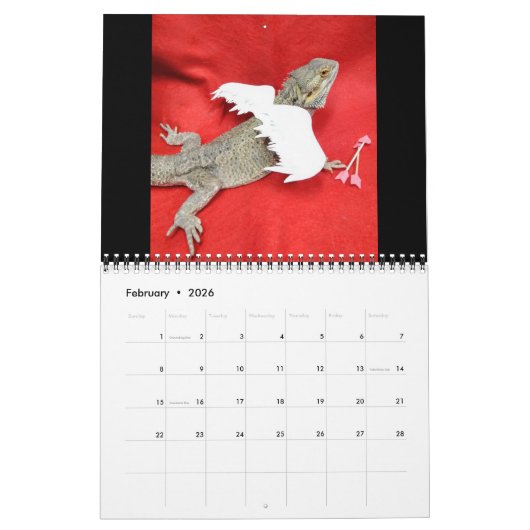 Reptilienkalender 2021 kalender (Feb 2026)