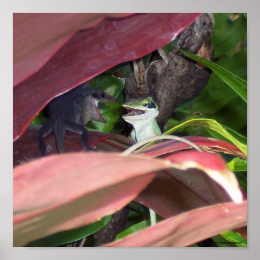 Reptilienkrieg Poster (Vorne)