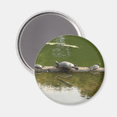 Reptilienware Magnet (Vorderseite/Rückseite)