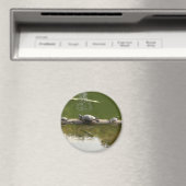 Reptilienware Magnet (In Situ (Geschirrspüler))