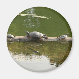 Reptilwaren Magnet