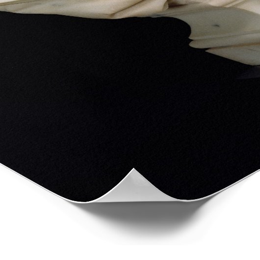 Republik, 1880 poster (Ecke)