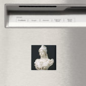 Republik, 1888-90 magnet (In Situ (Geschirrspüler))