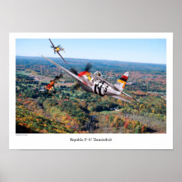 Republik P-47 Thunderbolzen Poster