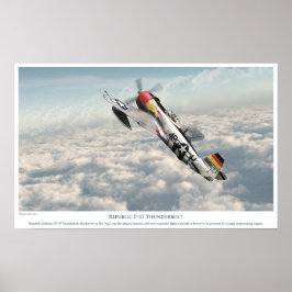 Republik P-47 Thunderbolzen Poster