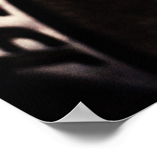 Republik Texas *Poster* Poster (Ecke)