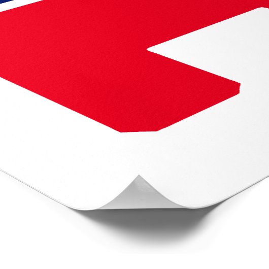 Republikaner Elephant Poster (Ecke)