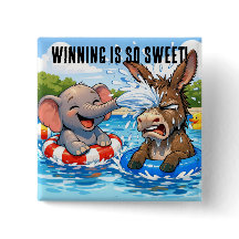 Republikanischer Sieg US Halbzeitwahlkampfabzeiche