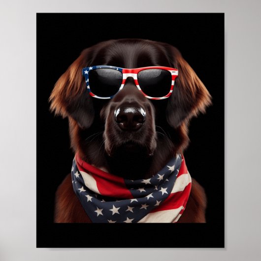 ReRe-Dog 4. Juli American Ind Poster (Vorne)