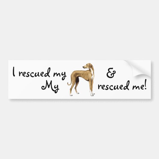 Rescue Azawakh Autoaufkleber (Vorne)
