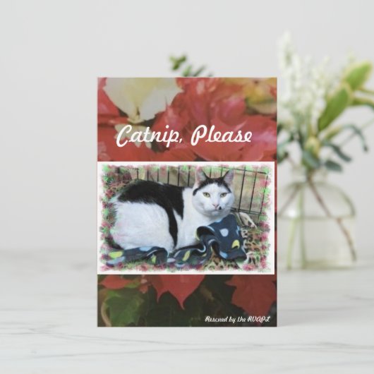 Rescue Cat Holiday Cheer Card Dankeskarte (Stehend Vorderseite)