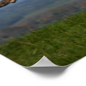 Rescue Dog Greyhound Sighthound Brindled Lurcher Poster (Ecke)